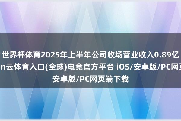 世界杯体育2025年上半年公司收场营业收入0.89亿元-开yun云体育入口(全球)电竞官方平台 iOS/安卓版/PC网页端下载