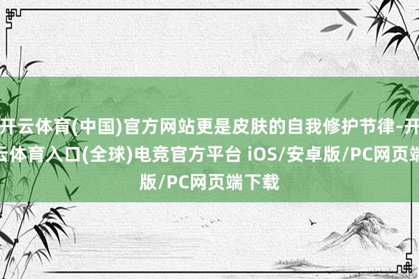 开云体育(中国)官方网站更是皮肤的自我修护节律-开yun云体育入口(全球)电竞官方平台 iOS/安卓版/PC网页端下载