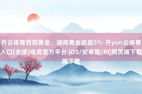 开云体育西部黄金、湖南黄金跌超5%-开yun云体育入口(全球)电竞官方平台 iOS/安卓版/PC网页端下载